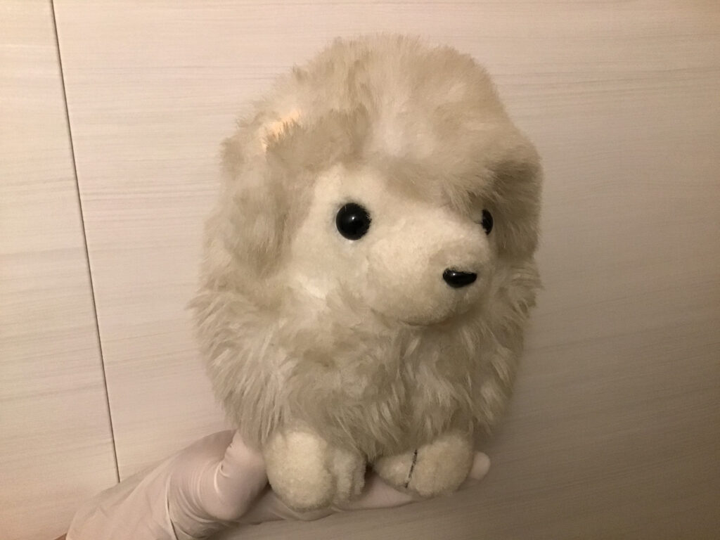 ぬいぐるみのサクラ2