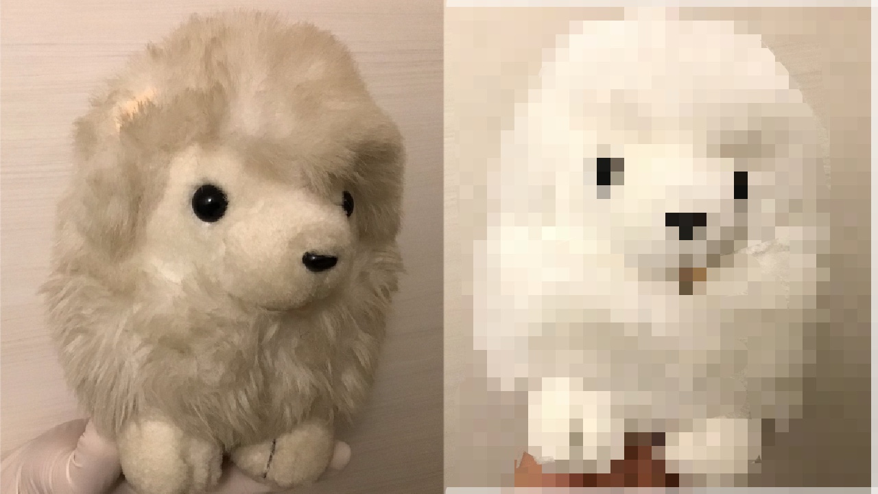 ぬいぐるみのサクラ1