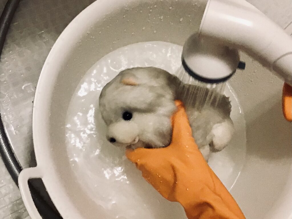 ぬいぐるみのサクラ5