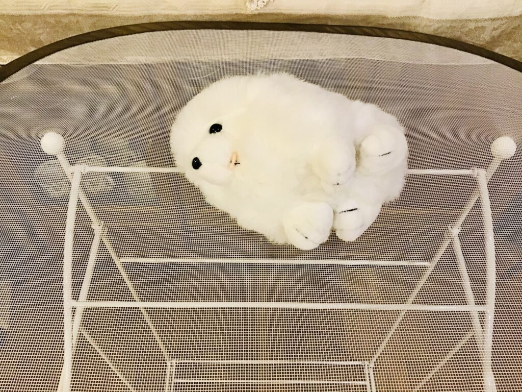 ぬいぐるみのサクラ23