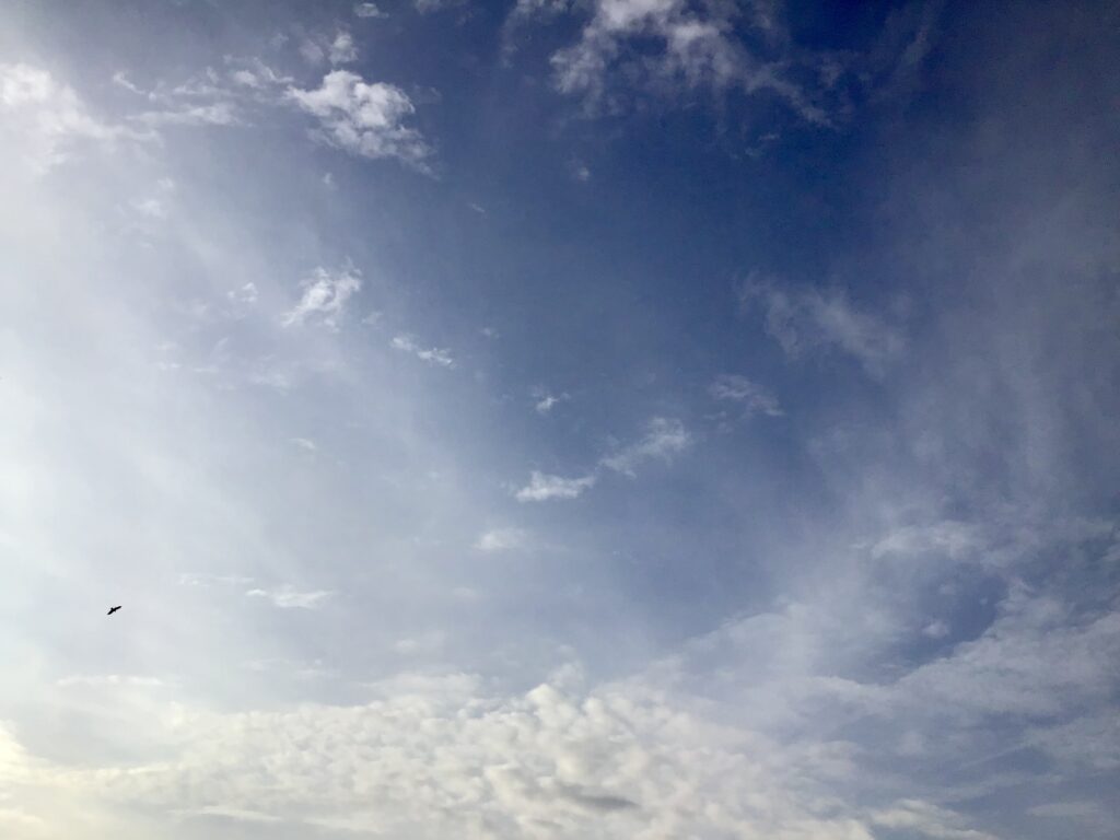 空