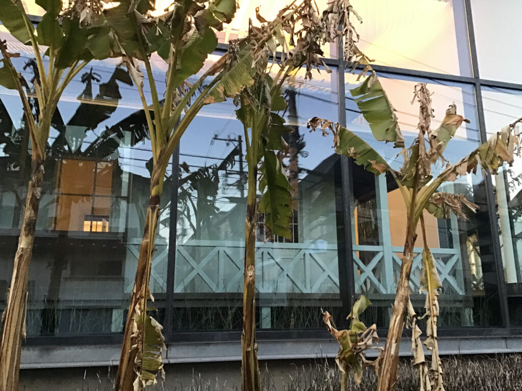 漱石山房記念館5