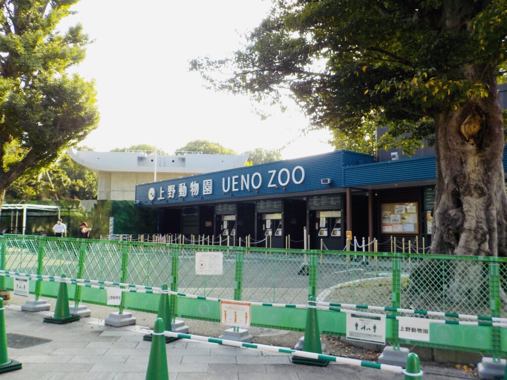 上野動物園4