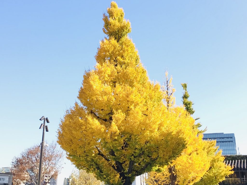 上野公園