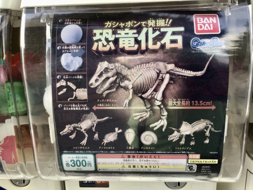 恐竜化石ガシャポン